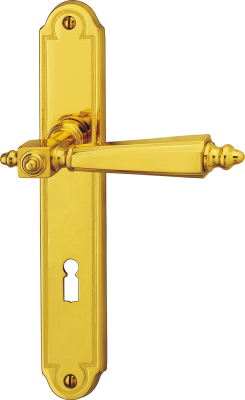 Galerie 1895 850 MP